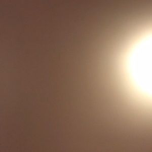 Meet your Posher, Dina